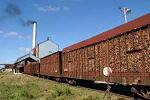 20120502213622-zafra-azucarera.jpg